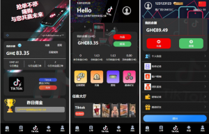 海外刷单 多语言 TIKTOK刷单 海外TIKTOK 抢单刷单 叠加组 打针黑马源码|源码搭建|精品源码|海外刷单|交易所|区块链|理财产品黑马源码站