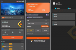 全新多语言 借币贷款 套路贷款 usdt货款源码 借币系统黑马源码|源码搭建|精品源码|海外刷单|交易所|区块链|理财产品黑马源码站