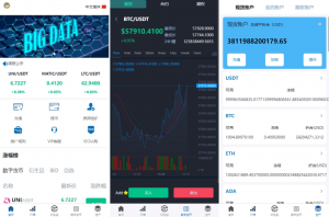 虚拟币外汇交易 全新多语言 交易所系统 期权合约交易 VUE PHP黑马源码|源码搭建|精品源码|海外刷单|交易所|区块链|理财产品黑马源码站