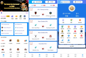 新版多语言 海外反波娱乐 自动采集自动开奖 反波胆系统黑马源码|源码搭建|精品源码|海外刷单|交易所|区块链|理财产品黑马源码站