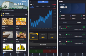 新版微交易 二开版微交易系统 重构版海外微盘系统 粮食微盘系统 K线正常 二开微盘黑马源码|源码搭建|精品源码|海外刷单|交易所|区块链|理财产品黑马源码站