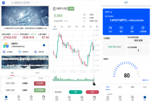 新版海外多语言微交易 外汇期货 微盘系统 微交易系统 微盘源码 虚拟币 贵金属黑马源码|源码搭建|精品源码|海外刷单|交易所|区块链|理财产品黑马源码站
