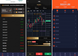 海外单语言微交易 虚拟币 期货黄金白银 交易系统 微交易源码 代理后台 用户风控 运营版微盘黑马源码|源码搭建|精品源码|海外刷单|交易所|区块链|理财产品黑马源码站