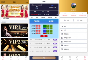 新版多语言28系统 海外cp系统 时时彩游戏 28竞猜源码 28游戏 批量预设开奖 预设开奖黑马源码|源码搭建|精品源码|海外刷单|交易所|区块链|理财产品黑马源码站