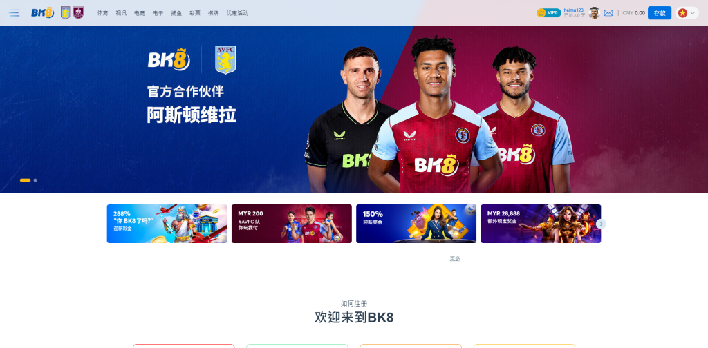 图片[11]黑马源码|源码搭建|精品源码|海外刷单|交易所|区块链|理财产品全新UI海外游戏源码 多语言 前后端重构 完整风险控制 竞猜下注游戏 海外搭建部署源码 海外游戏 電子游戲