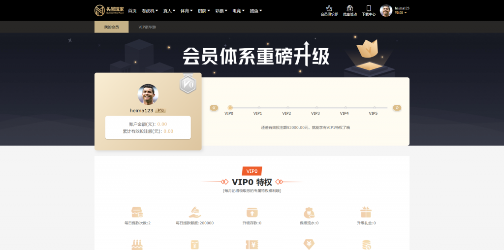 图片[12]黑马源码|源码搭建|精品源码|海外刷单|交易所|区块链|理财产品全新UI海外游戏源码 多语言 前后端重构 完整风险控制 竞猜下注游戏 海外搭建部署源码 海外游戏 電子游戲