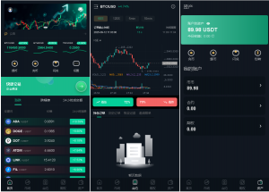 海外多语言交易所、期权、合约、K线、跟单、全新开发黑马源码|源码搭建|精品源码|海外刷单|交易所|区块链|理财产品黑马源码站